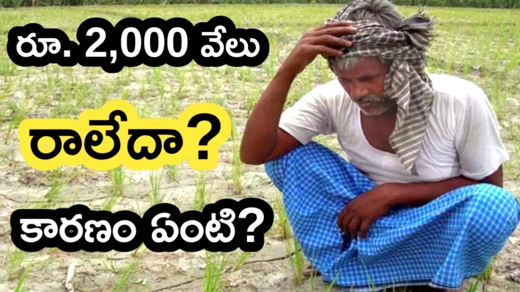 PM Kisan Money Not Credited