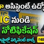 LIC HFL Junior Assistant Recruitment 2026