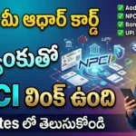 Aadhaar NPCI Link Status Check Online 2026