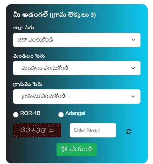 Meebhoomi AP Check 1B Online