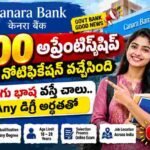 Canara Bank Apprentice Recruitment 2026